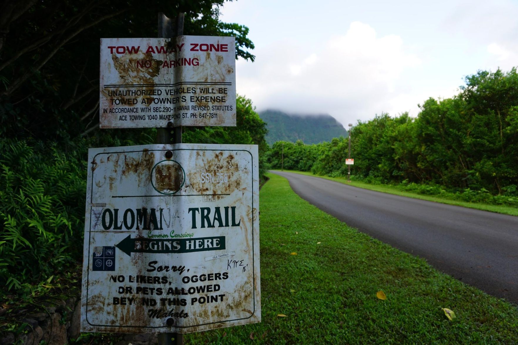 Olomana peak trail